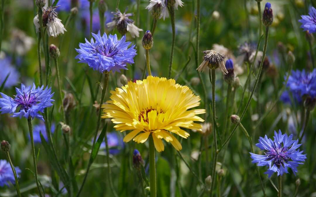 Tips to Embrace Your Individuality and Change Your Life